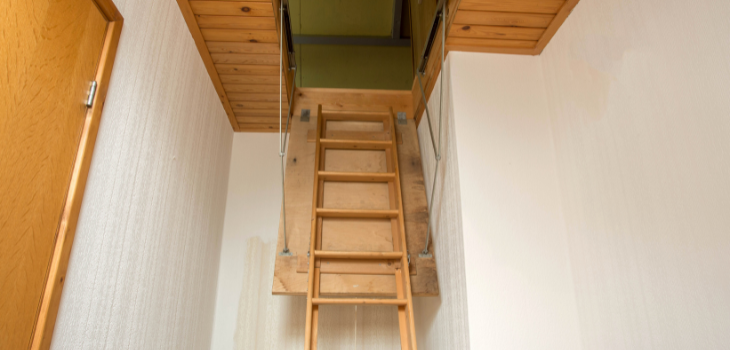 Attic Ladder